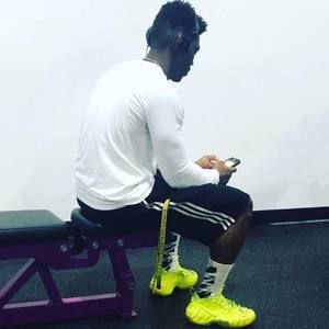 Meet your Posher, Buddy ant